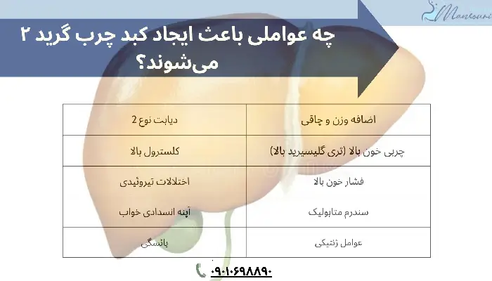 کبد چرب گرید 2